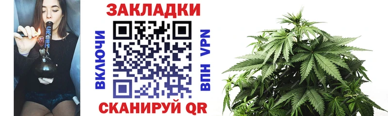 Виды наркотиков купить Куровское Бошки Шишки  COCAIN  АМФЕТАМИН  Мефедрон  ГАШИШ  Alpha-PVP 