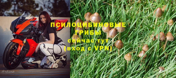 mdma Сосновка