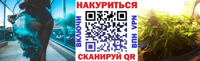 наркотики  Куровское  Шишки марихуана марихуана 
